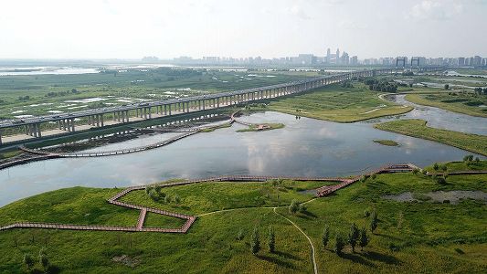 z81ae8f69dc1c41989a260517c6a40d0f 黒竜江省が上海市に30万世帯分の米3000トンを支援