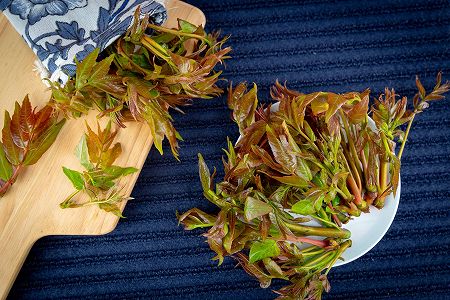 香椿(チャンチン)の収穫シーズン迎えた春の太行山 河南省鶴壁市 z94dde70616b99abfd9c5af2ab9314103 香椿(チャンチン)の収穫シーズン迎えた春の太行山 河南省鶴壁市