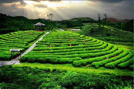 z06e16dbe36ae4737818d663416072c52 メーデー5連休の交通機関利用者は一億人の予想　飛行機は前年比7割減へ