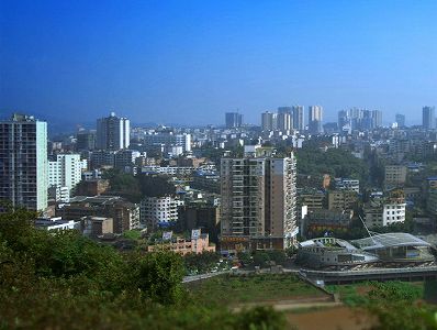 z52598fae1fbd8482d1f8f656a57b01c8 丹霞石の上にデンドロビウム・ノビルが開花　貴州省赤水市