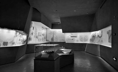 科学記録が最も完全なハドロサウルスの胚の化石を発見 z563ec6e4581d89635cc337977bad9165 科学記録が最も完全なハドロサウルスの胚の化石を発見