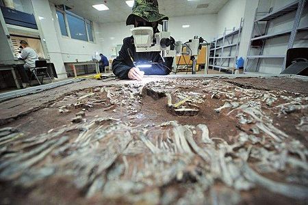 z955f2d5620a70469c6f8921568b3cff9 化石修復作業の難しさとは？「化石修復師」の仕事に迫る