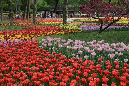 メーデー5連休の北京市における公園入園者数は前年同期比37.7%減に zaf75d67fe5bcda680922dcd83948512a メーデー5連休の北京市における公園入園者数は前年同期比37.7%減に