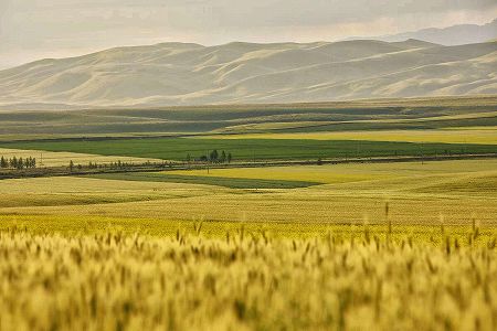 馬の群れが川を疾走する圧巻の景色広がる高原 新疆維吾爾自治区 z5a79fc07cb39ab040ea099aaac96e39c 馬の群れが川を疾走する圧巻の景色広がる高原 新疆維吾爾自治区