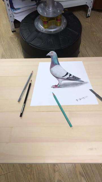 オウムも思わずついばむほどリアルな絵が話題に オウムも思わずついばむほどリアルな絵が話題に