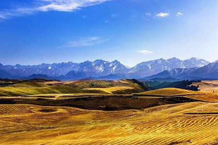 z707fdd26b44955e4f7d80d34e5e0876e 江布拉克景勝地に「黄金の小麦の季節」到来　新疆維吾爾自治区