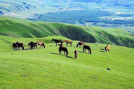 z2fd4e1a4a5b886943d2d0419f1d09625 一日で冬から夏まで経験するパトロール警官たち　新疆維吾爾自治区