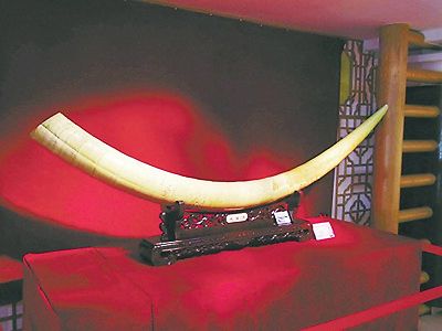 三星堆の「象牙修復突撃隊」は世界的課題をどのように克服? zac2e322a23d1eac8d7b581a452bcd6bd 三星堆の「象牙修復突撃隊」は世界的課題をどのように克服?