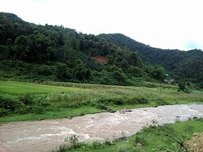 8月12日は「世界ゾウの日」雲南省でゾウの「追っかけ」をする監視員 zd1a6851368dfb6a2a8a689bf966b8816 8月12日は「世界ゾウの日」雲南省でゾウの「追っかけ」をする監視員