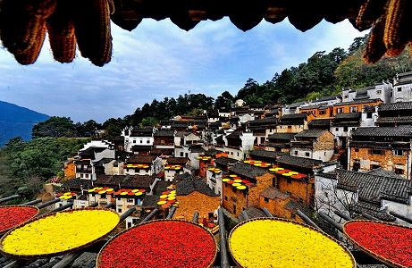 ze4ed92d101eac3bfc5098d485ed6fd41 農作物の天日干し始まる　江西省wu源県