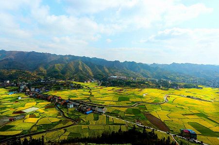 z270160213cb8d0313cce32e75007392b 貴州省初の水稲「無人農場」が豊作迎える