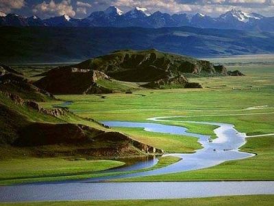 白鳥一万羽が優雅に遊ぶ新疆維吾爾自治区の巴音布魯克湿地 z2c20a20af7b2153de01bf1a6721c6734 白鳥一万羽が優雅に遊ぶ新疆維吾爾自治区の巴音布魯克湿地