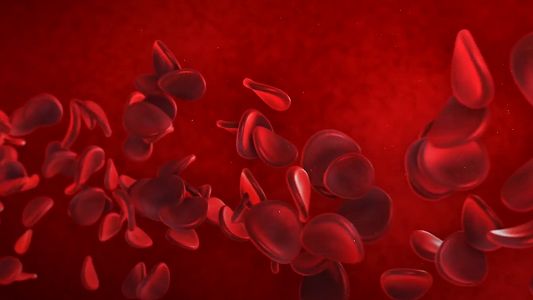 江蘇省で非常に珍しい「黄金の血」を持つ女性2人を確認 z44e0038c0a96b5bc560aee7bef12abe0 江蘇省で非常に珍しい「黄金の血」を持つ女性2人を確認