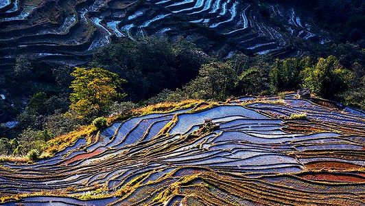 山肌にはめこまれた「翡翠」のような紅河哈尼棚田群 雲南省 z46f4101090737c2fc95cb201f32d6624 山肌にはめこまれた「翡翠」のような紅河哈尼棚田群 雲南省