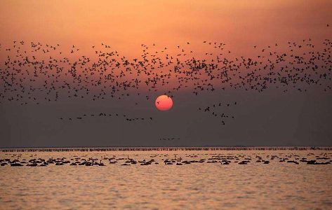 z747cf035ab6c1e75c7e8a78439d85f77 po陽湖と洞庭湖、湖面面積が一ヶ月で約66％縮小