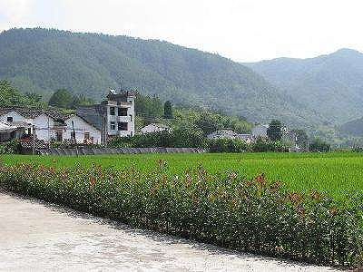 雲南省大理市のペー族の集落に溶け込んで生活するリンデンさん一家 z88af697e7bb1e1e341c0d454efd16b8d 雲南省大理市のペー族の集落に溶け込んで生活するリンデンさん一家