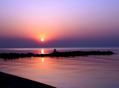 zce16569f436b14f5e3a5e344a58933b3 興凱湖畔の「精霊」ハナジカ　黒竜江省