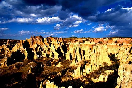 zd91c808c81f958a59c818c767f5528aa 雲南省元謀県、最古のテナガザルの祖先の化石が発見