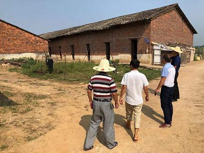 zff53cd5e18566b9d368f0dbe58d82c8d ボートを操りながら野菜を収穫　江西省