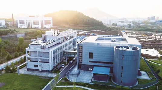 z27c6208c79264b66494ddd2e9091a517 サル痘ウイルスの分離に成功　ワクチン・薬品の研究を開始