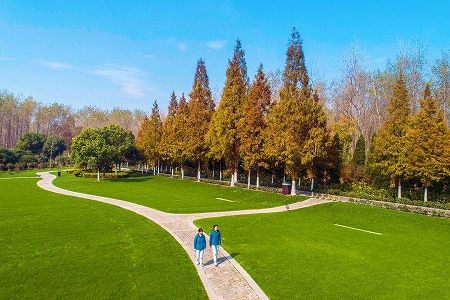 z397c71f962c4085d2b458dd67b163f98 スマート自動運転サービスで景勝地をサポート　安徽省