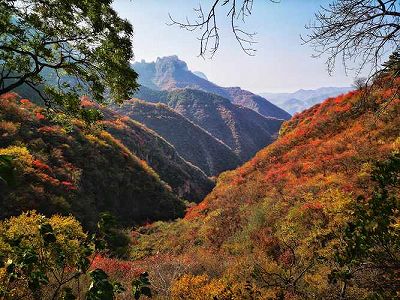 z88af754ba01395b7b622e90741f95511 秋色に染まった木々に覆いつくされた太行山　河北省