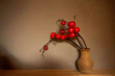 炭火焼きの柿や桂花スイーツが長江デルタ地域で大人気に zfab8cc02d82706017fbe9d80a2f9e88a 炭火焼きの柿や桂花スイーツが長江デルタ地域で大人気に