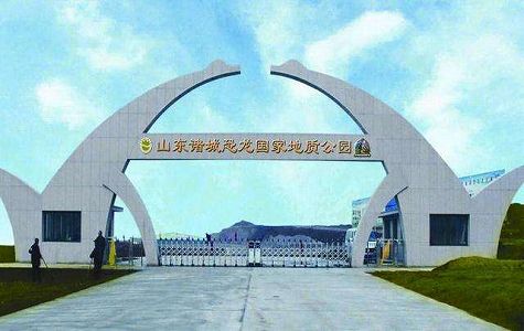 「中国竜城」でカメ足跡の新属新種を発見 z0e6ef6cc32d08144290b0c90931ae0ce 「中国竜城」でカメ足跡の新属新種を発見