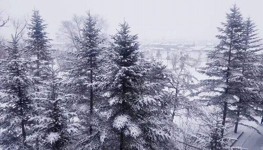 z1bc0faed65d762e852d185ced67c7a0f 山間部に広がる雪と紅葉が織りなす初冬の美しい景色　黒竜江省