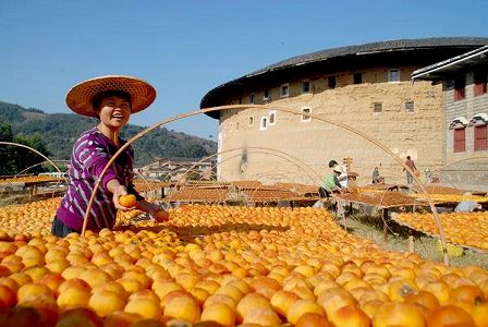 z39f770c71ce3ba2fb8fe6fe282b7ea76 秋を彩る客家の村の美しい天日干し　福建省