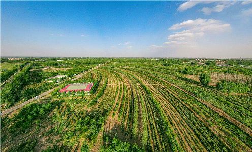 z60998ccec986e9b3a6278f600a8f30a1 上空から撮影した秋ムード満点の雄安新区　河北省