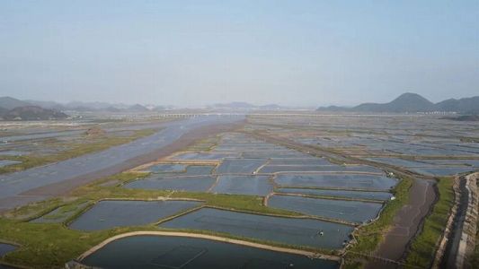 z6c30c24477527927f8abfbdf15781507 1 美しく広大な養殖池広がる浙江省台州市