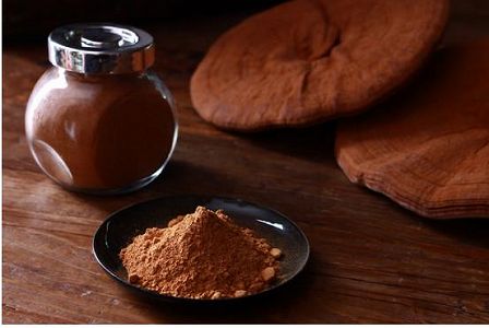 zb40d207a38bacd1c8a1ec6bca2d7c3c4 西蔵の人々に豊かな暮らしをもたらす「霊芝胞子粉」　西蔵自治区