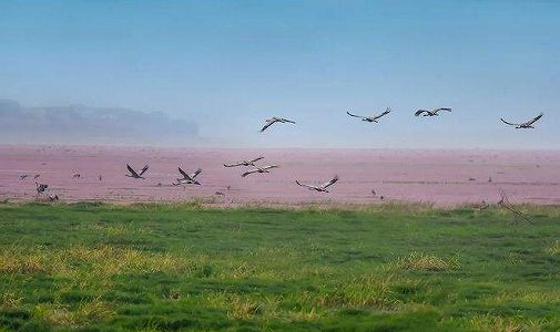 po陽湖の水位が上昇に転じる zb4d54543c9bbc5acb4314b9a5aa7e7b9 po陽湖の水位が上昇に転じる