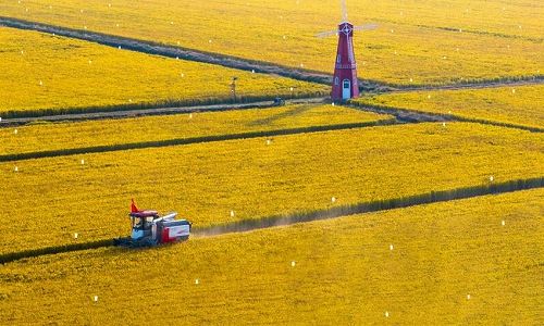 zeb12c66a8257b4b36f0af9fe5e444018 まるで秋を描いた絵画のような江蘇省淮安の美しい田園風景