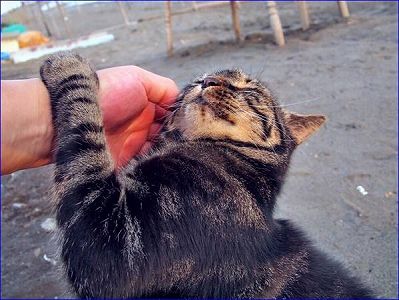 zf1ef5228ef825b926f7d98c847310a8a 中国、7～9月の「最も人手不足」の100職種が発表　製造業の不足続く