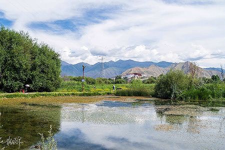 zzb260321ecd5b197811e0978970ea1a2a どこまでも美しい拉魯湿地　西蔵自治区