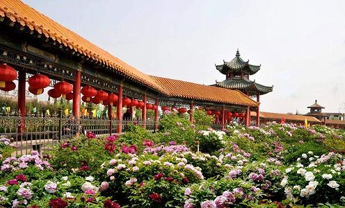 z96b2a6f8356bab10513aeb3b5e5ec038 農村振興を後押しする伝統的な布靴の製造・販売　山東省he沢市