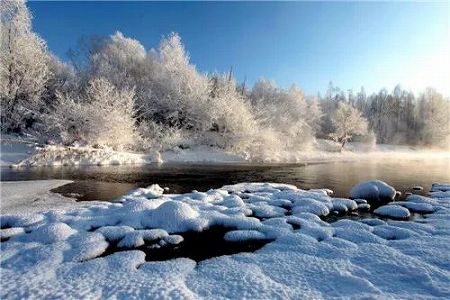 z46137d974a30caada9793d07e538efaf 極寒に美しく咲き誇る「氷の花」　黒竜江省