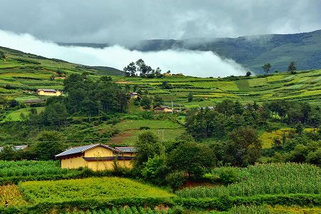 z4d80728e5efa0dcc150aab32eb30cbac 家畜も乗ってる大涼山を横断する鈍行列車　四川省