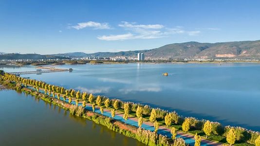 zdb1e664950fc34d9d4825e07d5f996ac キャラメル色に染まったラクウショウの林は、まるで「おとぎの森」　