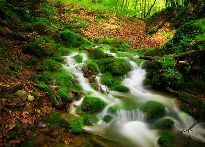 国産の新型コロナ治療薬2種を条件付きで承認 ze60ca91efef617ba1bed85f3fdd8b321 国産の新型コロナ治療薬2種を条件付きで承認