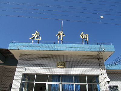 春節を前に鈍行列車に乗って年越し用品を買いに行く人々 zec351dd6950b31b064a3ac10dc043866 春節を前に鈍行列車に乗って年越し用品を買いに行く人々