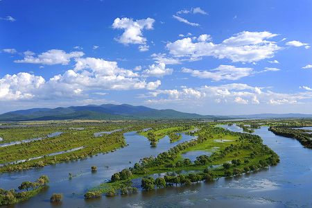 z4adebbe533805531e8a2b90db2f09951 野生の東北虎（アムールトラ）の足跡発見　黒竜江省