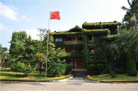 宇宙を旅したフイリソシンカの種が発芽 12株が植木鉢に移植 zd6851b284cb0919b02f58ba2c0588f52 宇宙を旅したフイリソシンカの種が発芽 12株が植木鉢に移植