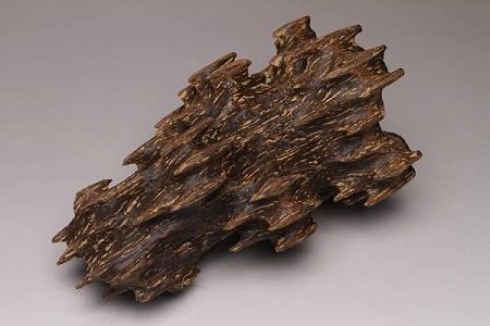 zdb931cf21b2b58e754300379aaa73ea2 村民を豊かにする沈香の木　海南省dan州市