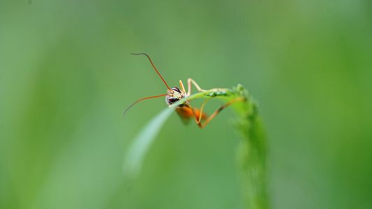 z0e2fed9b501881d9fcaf160edcc08951 6日は二十四節気の3番目「啓蟄」　冬眠していた生き物が目を覚ます