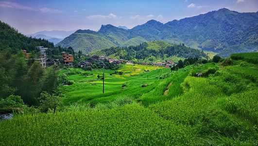 z1e51bb9d2d5ed65ba700b5016f167717 「広東省・広西壮族自治区提携」観光特別列車が広西の大苗山へ