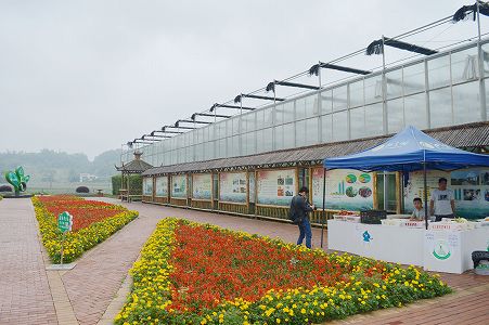 z1f0b0c3b0639023eccac609e22dec0c0 現代農業によるカラフルな田園広がる四川省瀘州市