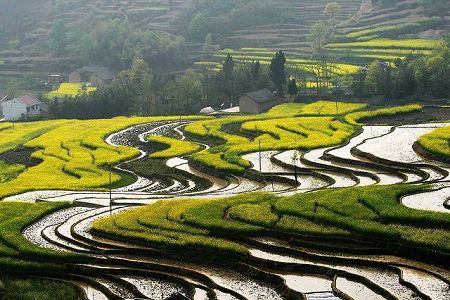 z518873799b5441ed6468e9eb45aeeefc 広大な鳳堰古棚田で菜の花が満開に　陝西省安康市